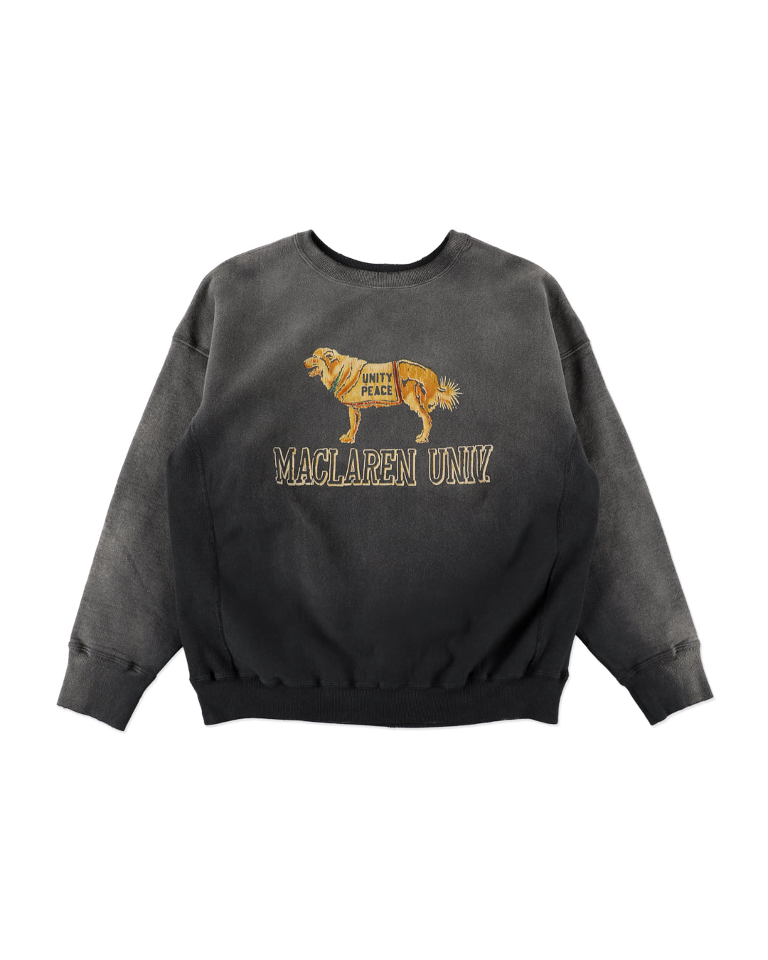 FADED SWEATSHIRT - DOG