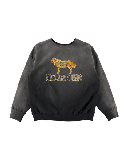 FADED SWEATSHIRT - DOG