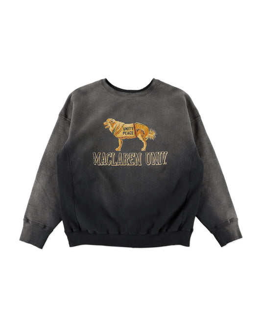 FADED SWEATSHIRT - DOG