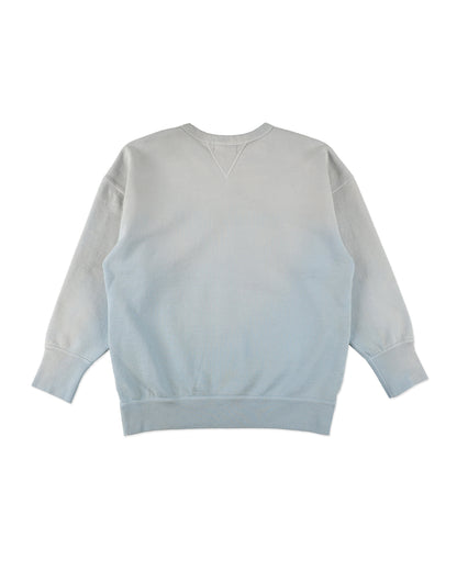 WEATHERED DOUBLE V SWEATSHIRT